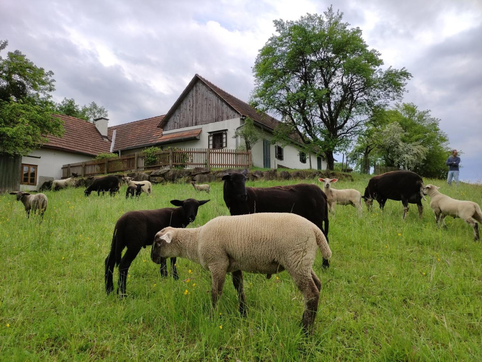 Holiday home Lamplberg Gutendorf